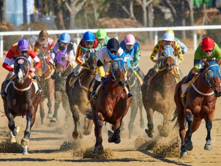 Horse Racing Betting Odds